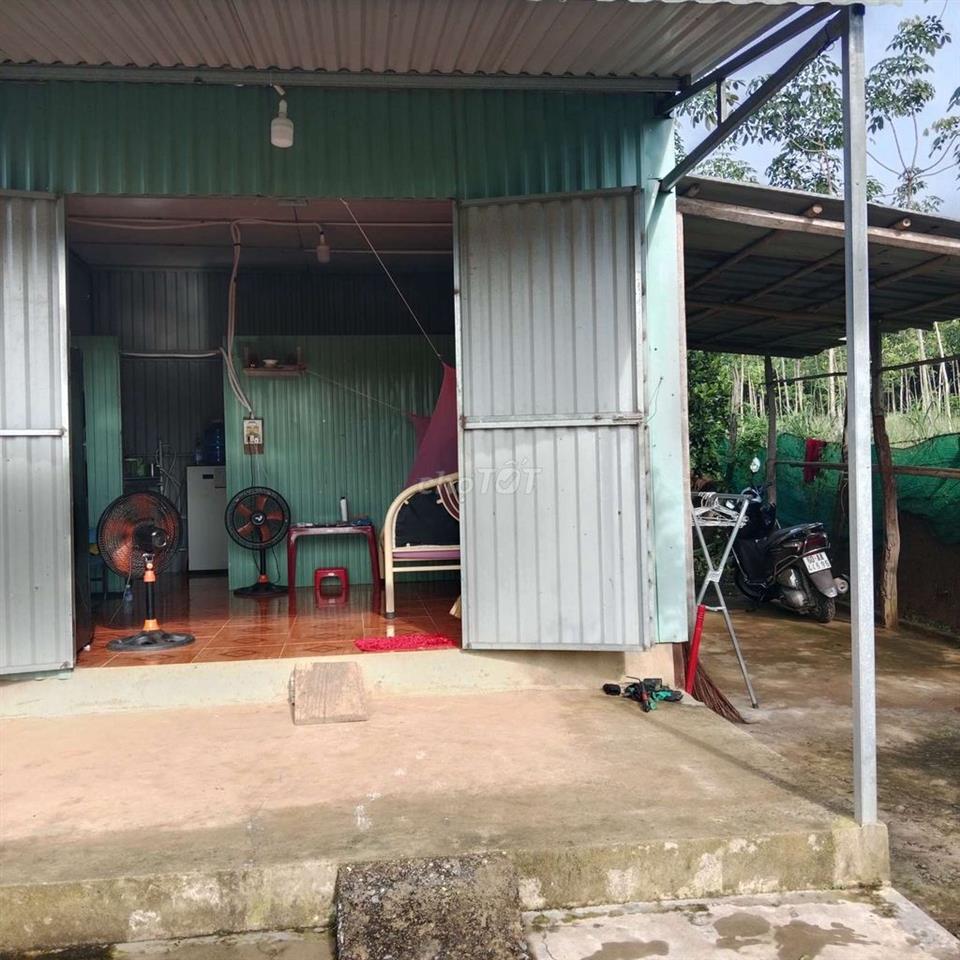 Nhà vườn 1300m2, cây ăn trái đường nhựa 8m thông , giá 420 triệu