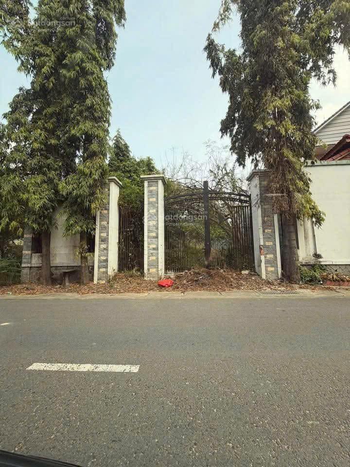 Bán gấp mtkd đx043  bình dươnghcm, 10x24 tc132m giá 5.95tỷ. đầu tư hoặc xe đều đẹp, có giá tốt