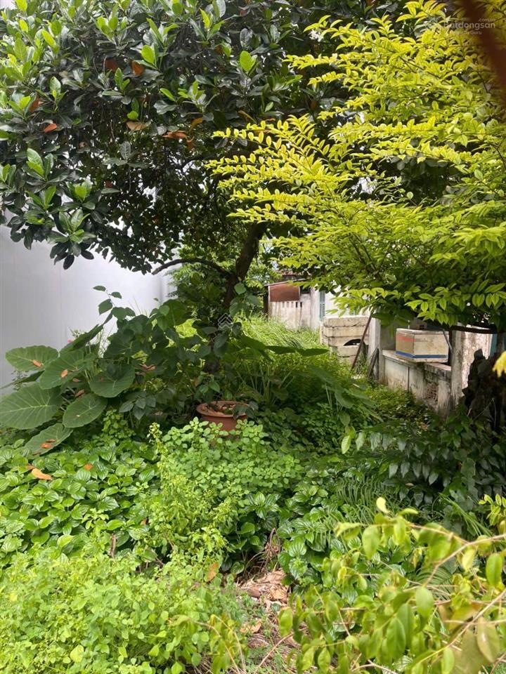 Chính chủ bán đất 1/ đường 30/4 phú hòa. vị trí trung tâm đủ tiện ích. giá hiếm