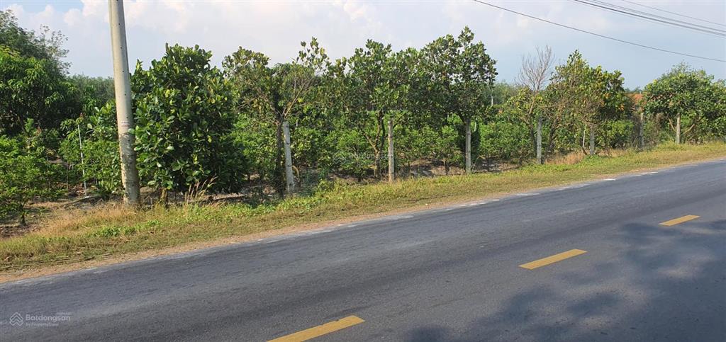 Cần bán 4700m2 đất trồng cây mặt tiền nhựa bourbon, huyện tân biên, tây ninh. 7,2 tỷ (tl)