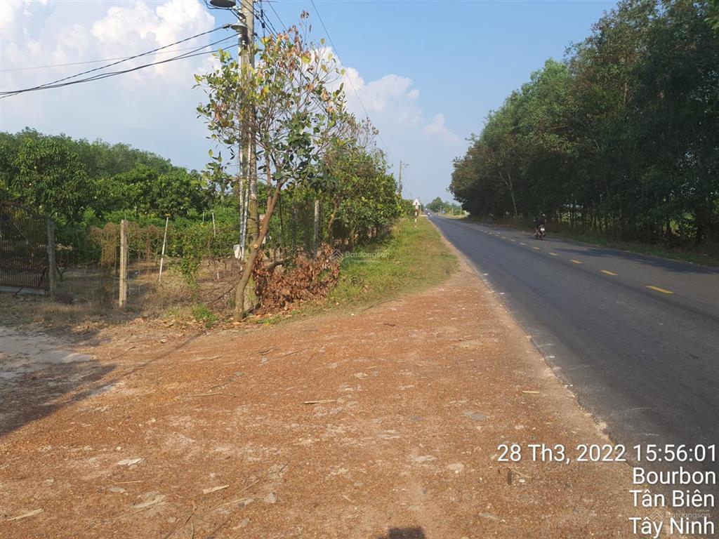 Cần bán 4700m2 đất trồng cây mặt tiền nhựa bourbon, huyện tân biên, tây ninh. 7,2 tỷ (tl)