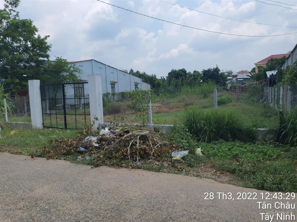 Giảm giá bán nhanh 1015m2 (200m2 tc) trung tâm chợ suối ngô, tân châu, tây ninh. 3 tỷ bớt lộc