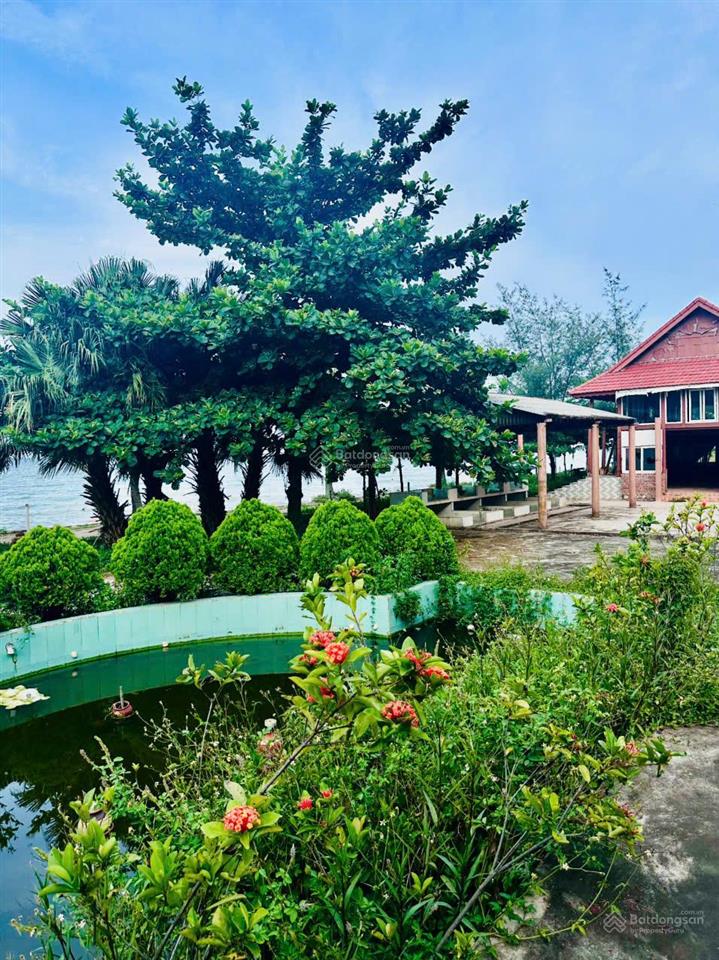 Bán đất mặt biển chính chủ huyện quỳnh lưu, nghệ an. diện tích 6000m2 mt 100m mặt biển quỳnh nghĩa
