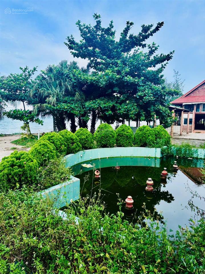 Bán đất mặt biển chính chủ huyện quỳnh lưu, nghệ an. diện tích 6000m2 mt 100m mặt biển quỳnh nghĩa
