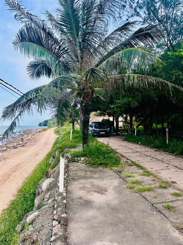 Bán đất mặt biển chính chủ huyện quỳnh lưu, nghệ an. diện tích 6000m2 mt 100m mặt biển quỳnh nghĩa