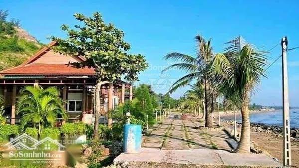 Bán đất mặt biển chính chủ huyện quỳnh lưu, nghệ an. diện tích 6000m2 mt 100m mặt biển quỳnh nghĩa