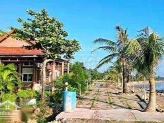 Bán đất mặt biển chính chủ huyện quỳnh lưu, nghệ an. diện tích 6000m2 mt 100m mặt biển quỳnh nghĩa