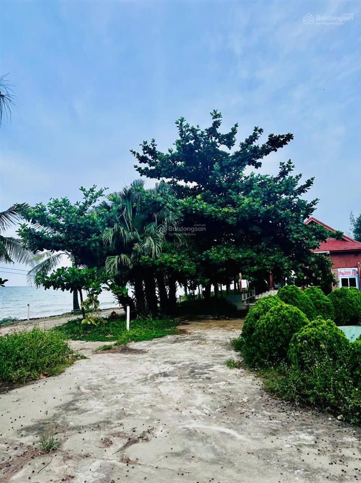 Bán đất mặt biển chính chủ huyện quỳnh lưu, nghệ an. diện tích 6000m2 mt 100m mặt biển quỳnh nghĩa