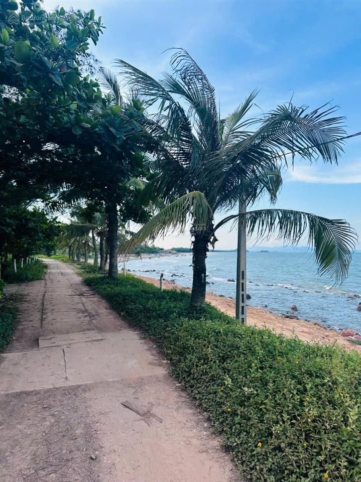 Bán đất mặt biển chính chủ huyện quỳnh lưu, nghệ an. diện tích 6000m2 mt 100m mặt biển quỳnh nghĩa