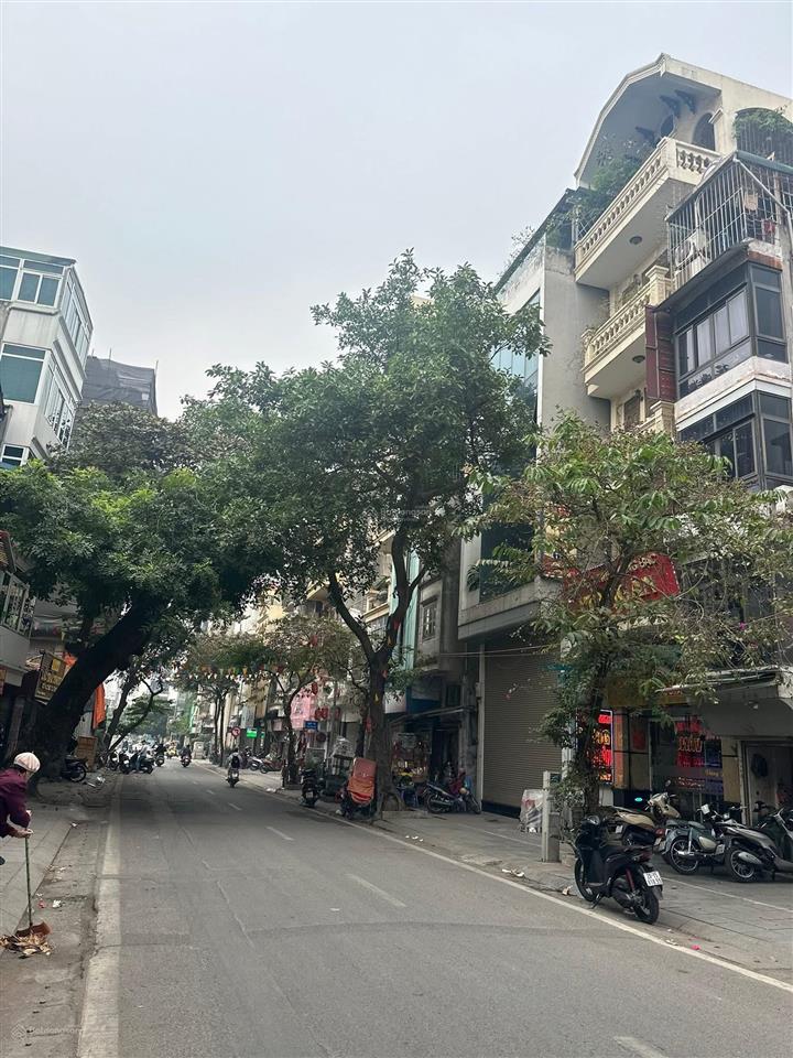 Bán nhà kbt 4.5 tầng phố phan kế bính mb100m mt5m xây dựng 75m.