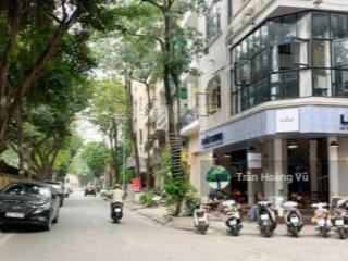 Bán gấp 55m2 mặt phố nguyễn văn ngọc  ba đình, vỉa hè 10m kinh doanh, sát đsq úc