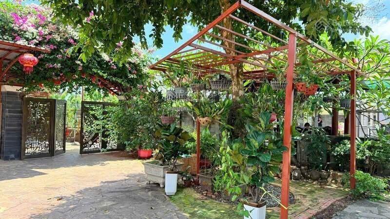 Nhà vườn siêu đẹp hẻm lương văn hội, giá 30tr/m2, đt 706m2 thổ cư pháp lý đầy đủ, hướng tây