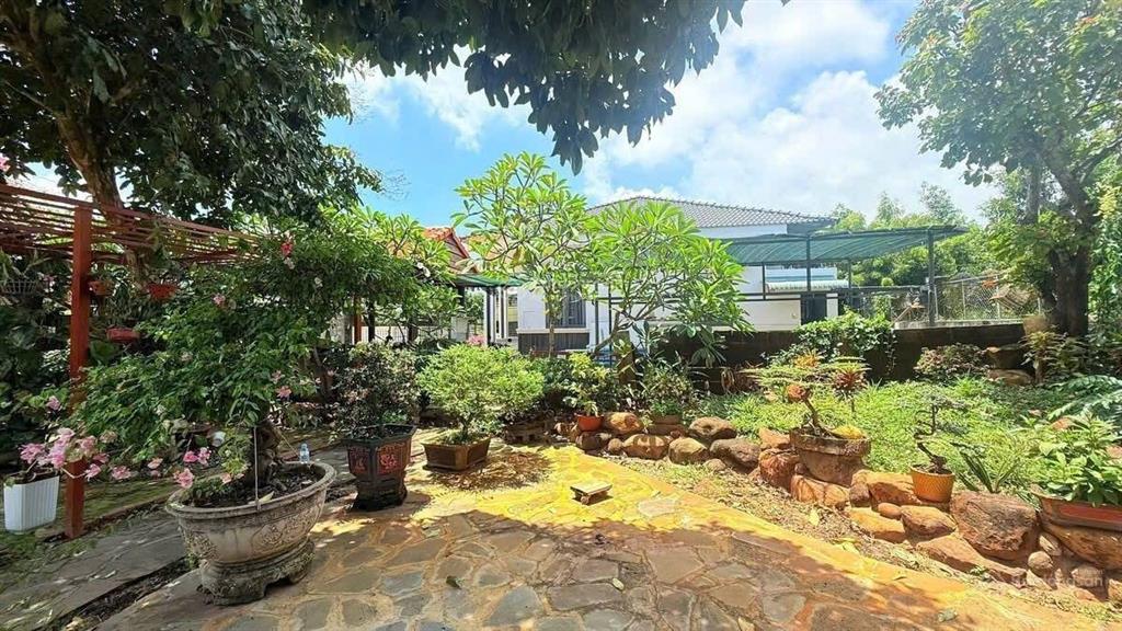 Nhà vườn siêu đẹp hẻm lương văn hội, giá 30tr/m2, đt 706m2 thổ cư pháp lý đầy đủ, hướng tây