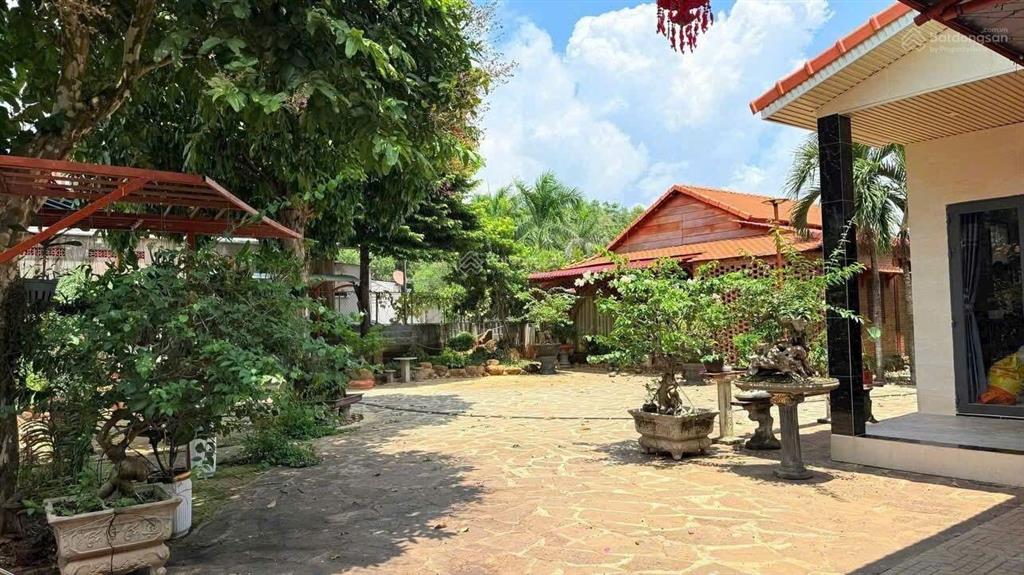 Nhà vườn siêu đẹp hẻm lương văn hội, giá 30tr/m2, đt 706m2 thổ cư pháp lý đầy đủ, hướng tây