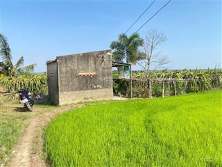 Nhà cần tiền bán gấp 3000m2 đất nông nghiệp