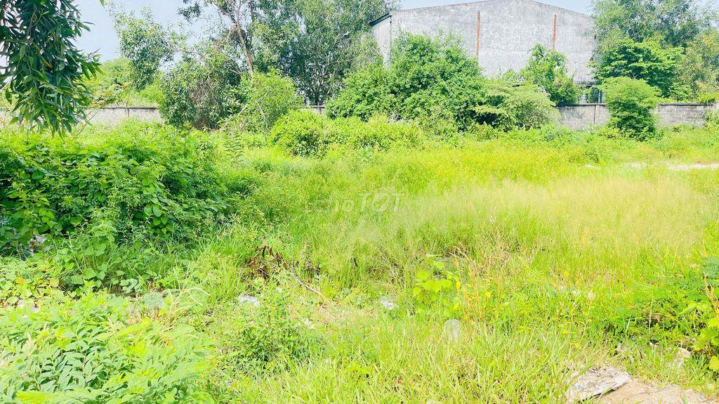 BÁN ĐẤT LONG TÂM BÀ RỊA VŨNG TÀU