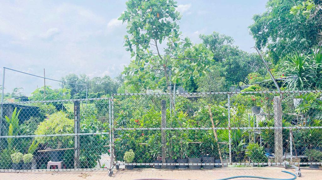 BÁN ĐẤT LONG TÂM BÀ RỊA VŨNG TÀU