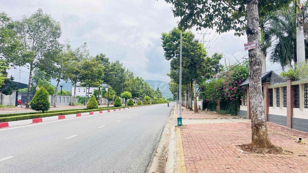BÁN ĐẤT PHƯỚC HƯNG THÀNH PHỐ BÀ RỊA VŨNG TÀU