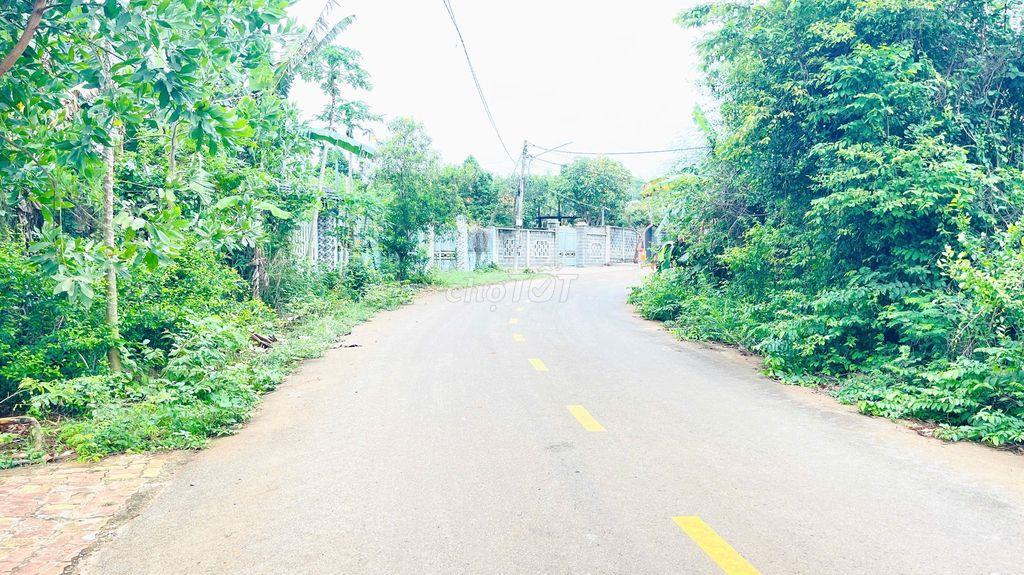 BÁN ĐẤT LONG PHƯỚC BÀ RỊA VŨNG TÀU
