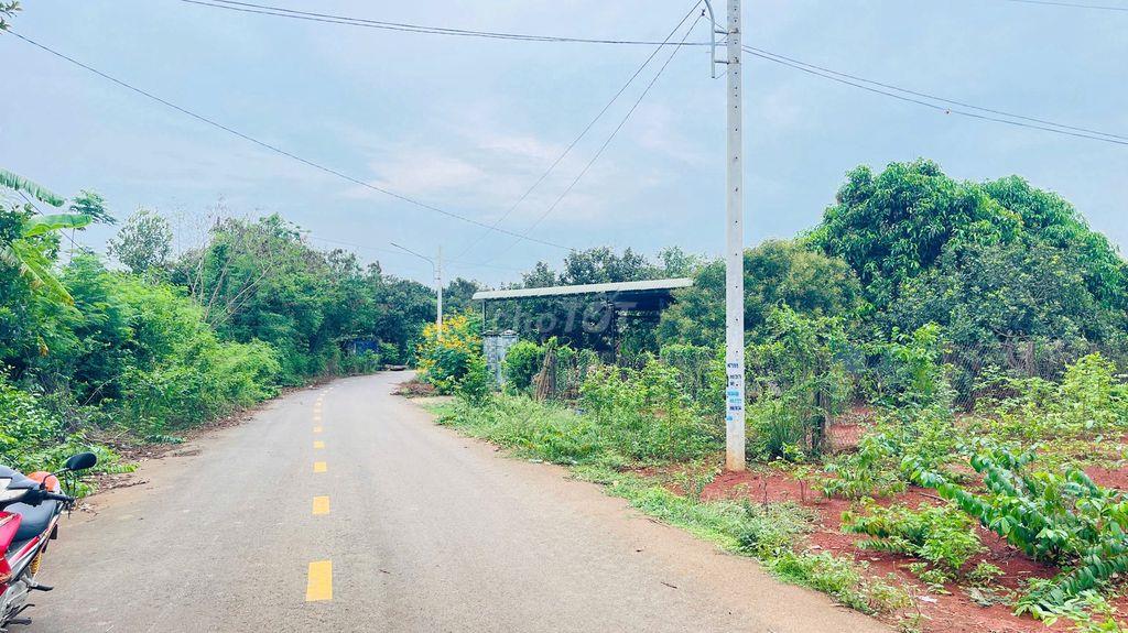 BÁN ĐẤT LONG PHƯỚC BÀ RỊA VŨNG TÀU