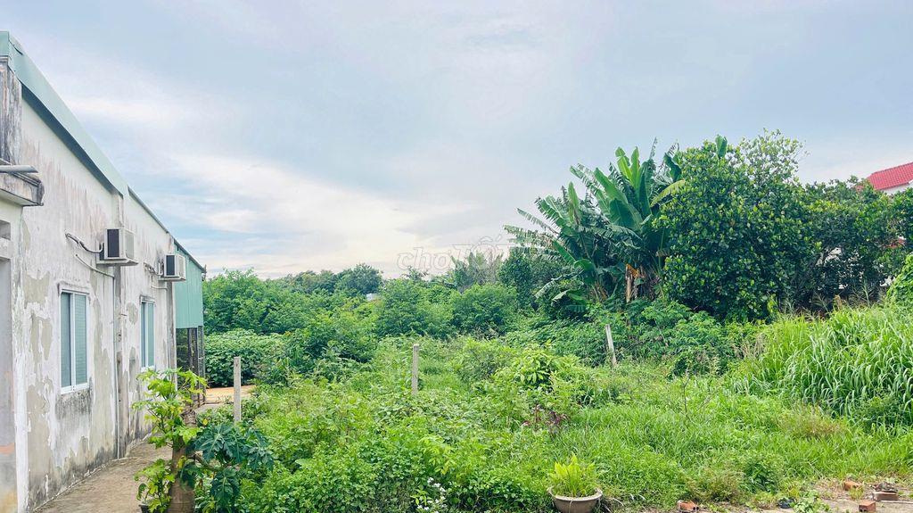 BÁN ĐẤT HÒA LONG BÀ RỊA VŨNG TÀU
