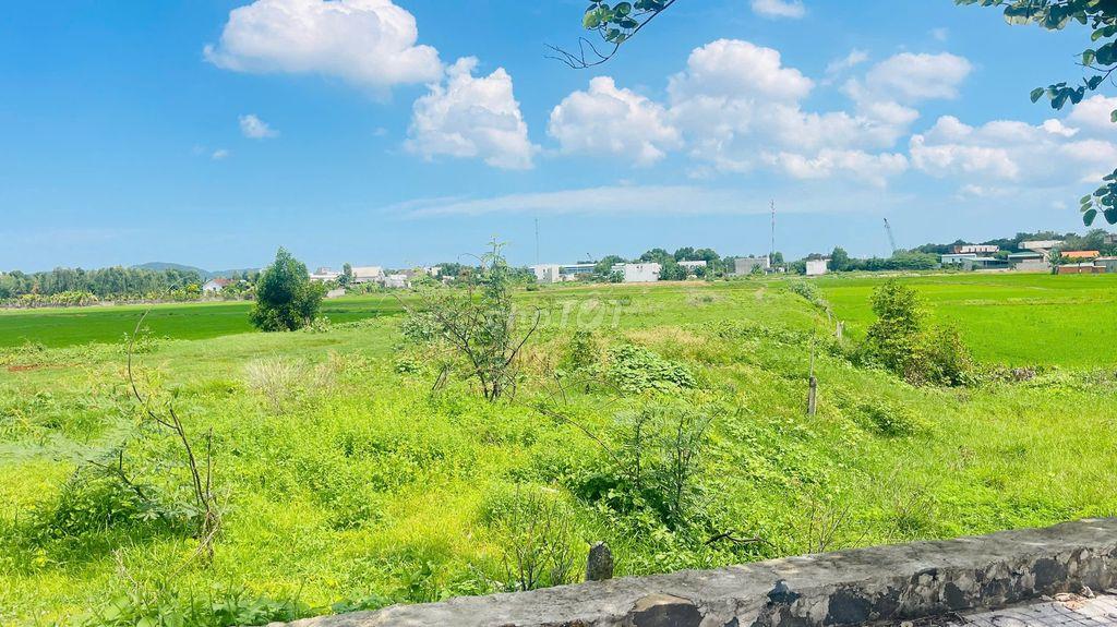BÁN ĐẤT HÒA LONG BÀ RỊA VŨNG TÀU