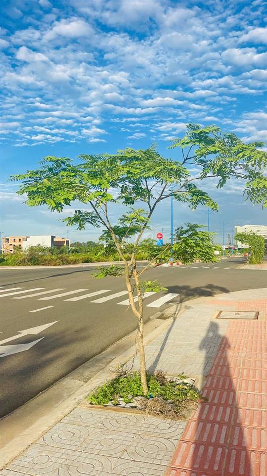 BÁN ĐẤT HÒA LONG BÀ RỊA VŨNG TÀU