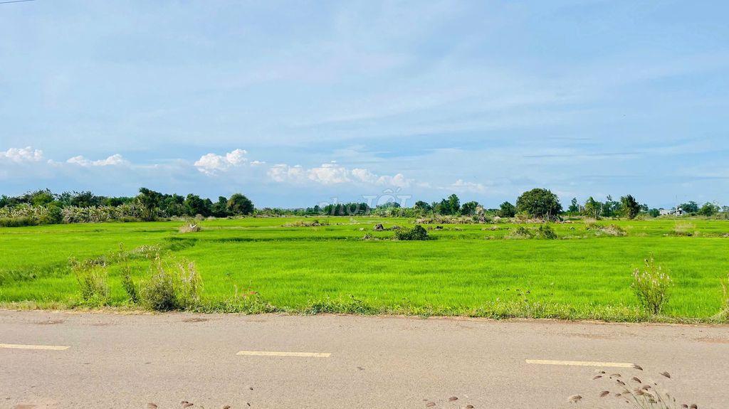 BÁN ĐẤT PHƯỚC LONG THỌ ĐẤT ĐỎ BÀ RỊA VŨNG TÀU
