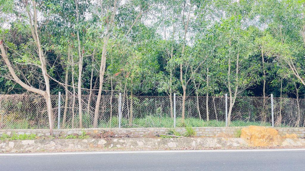 BÁN ĐẤT PHƯỚC HẢI BÀ RỊA VŨNG TÀU