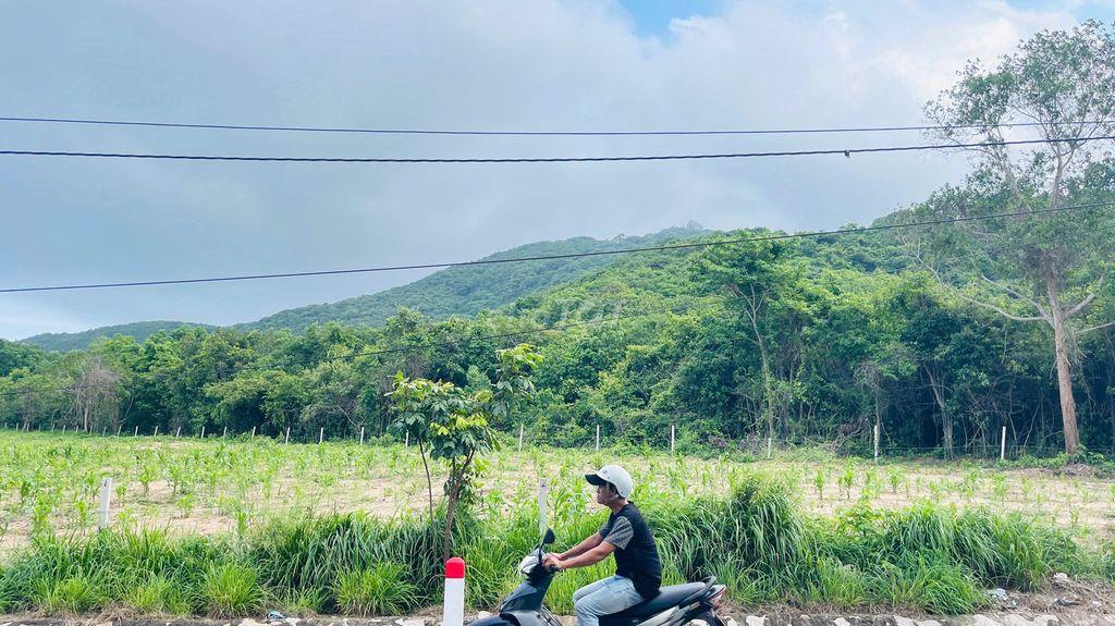 BÁN ĐẤT PHƯỚC HẢI BÀ RỊA VŨNG TÀU