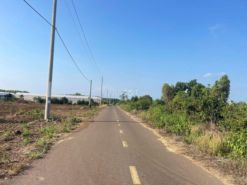 BÁN ĐẤT PHƯỚC LONG THỌ ĐẤT ĐỎ BÀ RỊA VŨNG TÀU