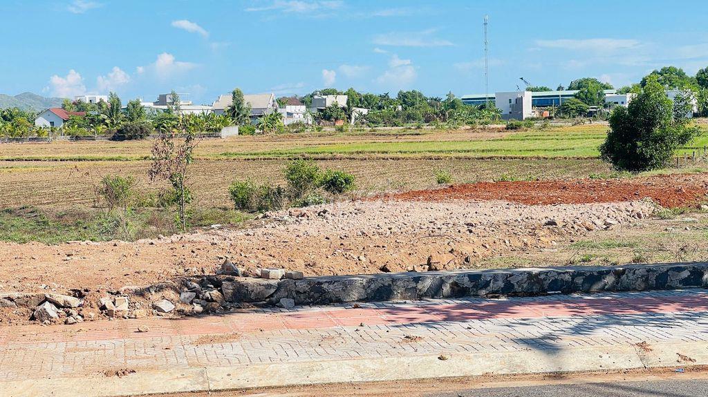 BÁN ĐẤT TÁI ĐỊNH CƯ HÒA LONG THÀNH PHỐ BÀ RỊA