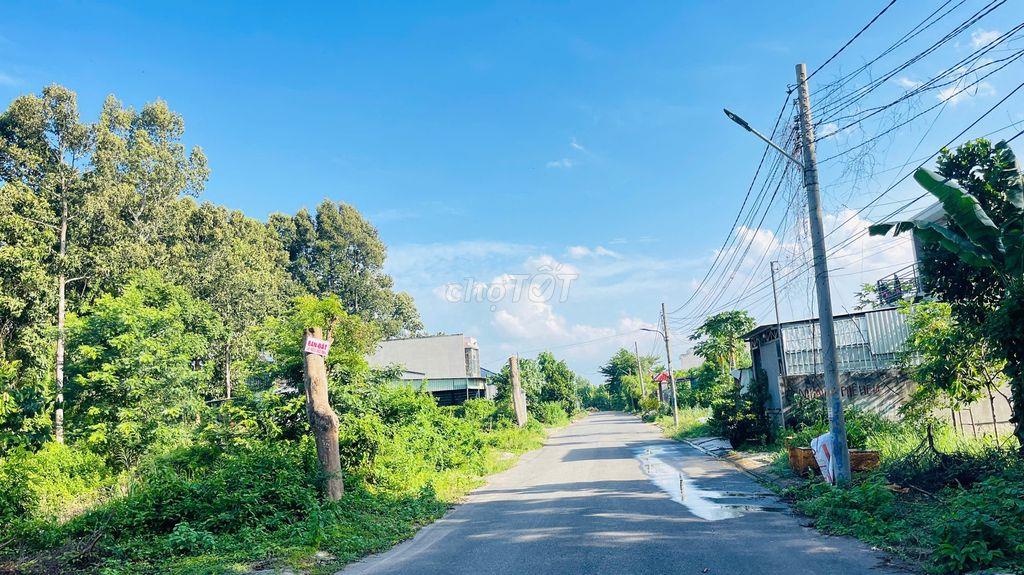 BÁN ĐẤT PHƯỜNG PHƯỚC HƯNG THÀNH PHỐ BÀ RỊA VŨNG TÀU