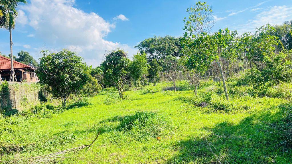BÁN ĐẤT HÒA LONG BÀ RỊA VŨNG TÀU