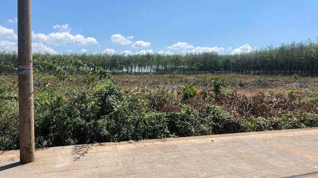 BẤN ĐẤT MẶT TIỀN LONG TÂN ĐẤT ĐỎ BÀ RỊA VŨNG TÀU
