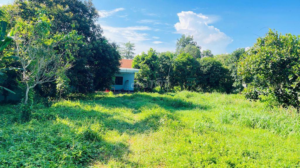BÁN ĐẤT HÒA LONG BÀ RỊA VŨNG TÀU