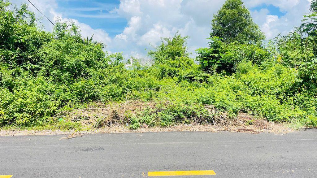 BÁN ĐẤT LỘC AN-PHƯỚC HẢI- BÀ RỊA- VŨNG TÀU