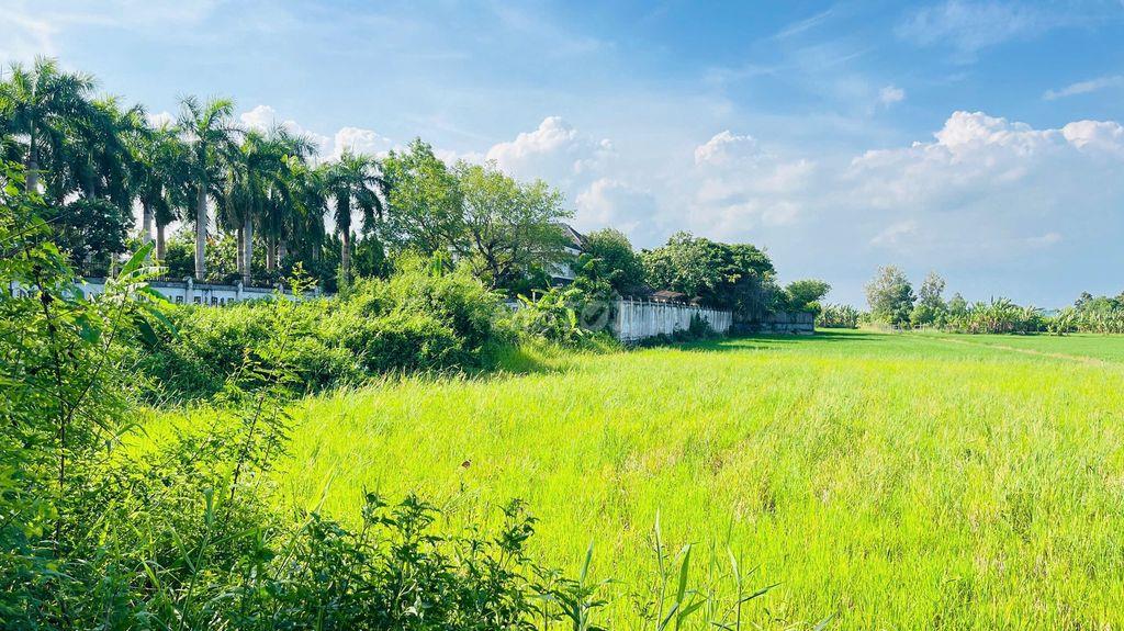BÁN ĐẤT PHƯỚC HƯNG THÀNH PHỐ BÀ RỊA VŨNG TÀU