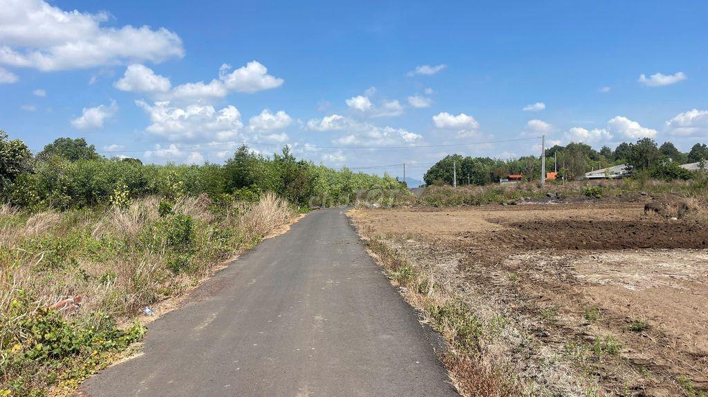 BÁN ĐẤT ĐẤT ĐỎ BÀ RỊA VŨNG TÀU