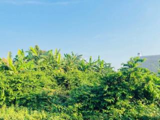BÁN ĐẤT HÒA LONG THÀNH PHỐ BÀ RỊA VŨNG TÀU