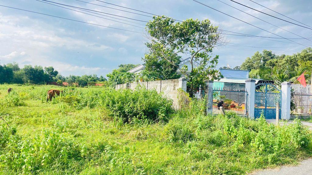 BÁN ĐẤT HÒA LONG BÀ RỊA VŨNG TÀU