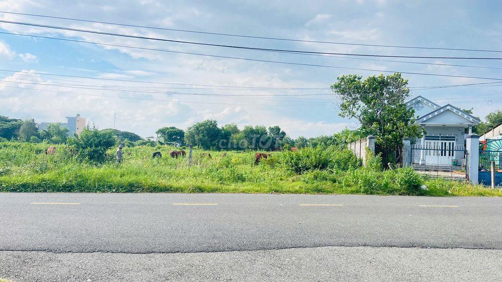 BÁN ĐẤT HÒA LONG BÀ RỊA VŨNG TÀU