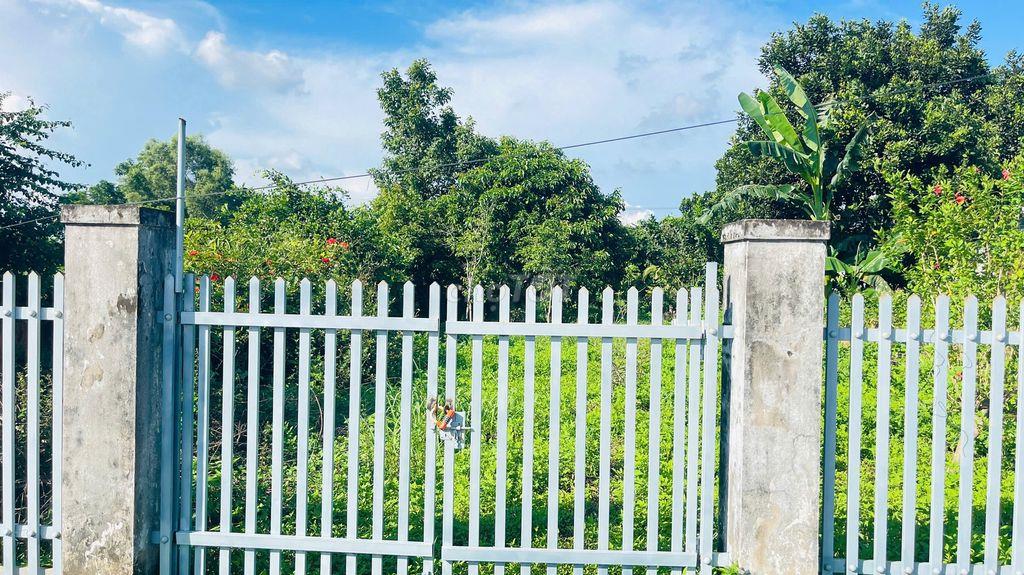 BÁN ĐẤT HÒA LONG BÀ RỊA VŨNG TÀU