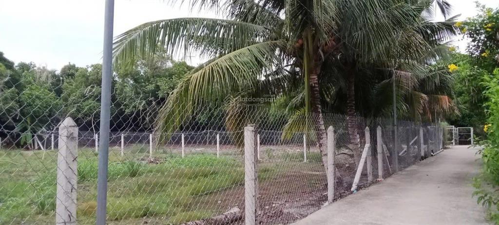 Chính chủ bán đất an sơn 32, thuận an 500m², giá chỉ 9,2 triệu/m², cách vành đai 3 500 mét