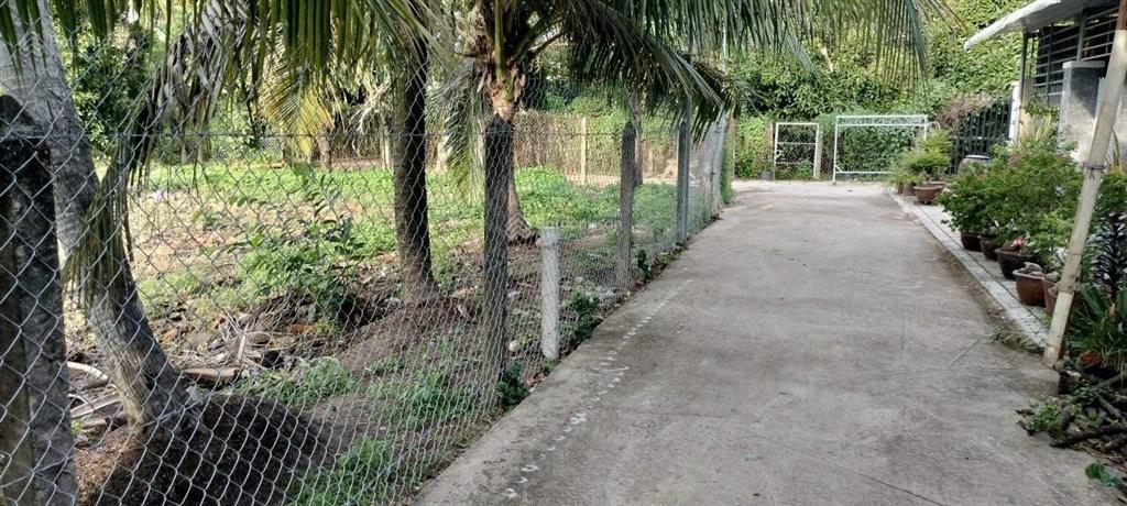 Chính chủ bán đất an sơn 32, thuận an 500m², giá chỉ 9,2 triệu/m², cách vành đai 3 500 mét