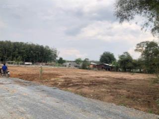 Bán đất 4200m² tại xã phú hòa đông, gần ngã 4 tân quy, tp. hồ chí minh, giá tốt 29 tỷ
