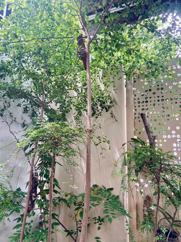 BÁN CĂN MẶT TIỀN KHU ĐÔ THỊ SINH THÁI RẤT CHILL