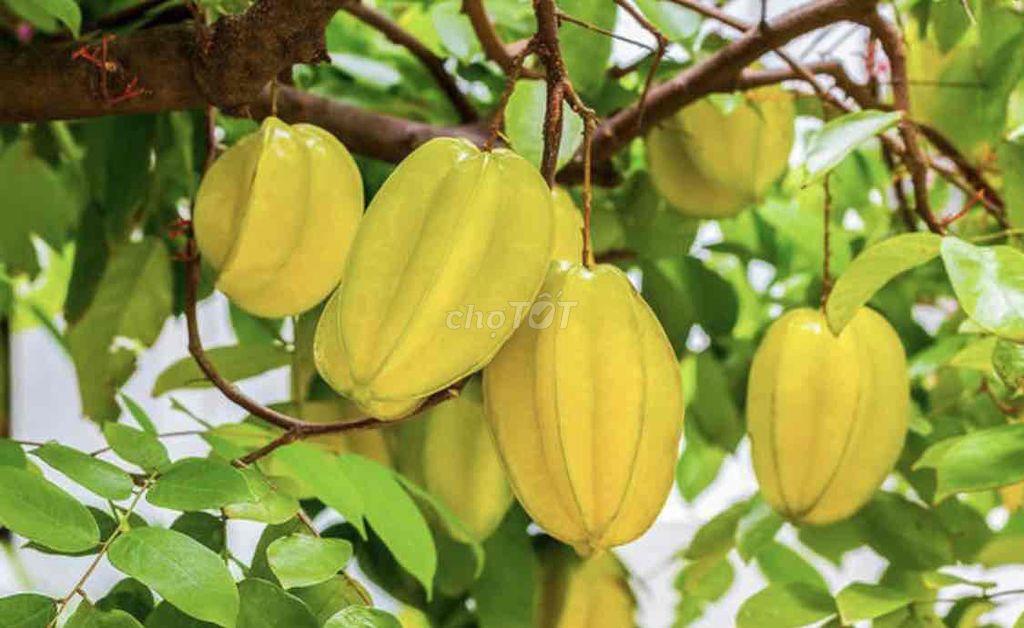 NHÀ RỘNG XINH, 1 TRỆT 1 LẦU, 2P. NGỦ - SÂN ĐỂ XE, SÂN PHƠI OK 🍃🍃