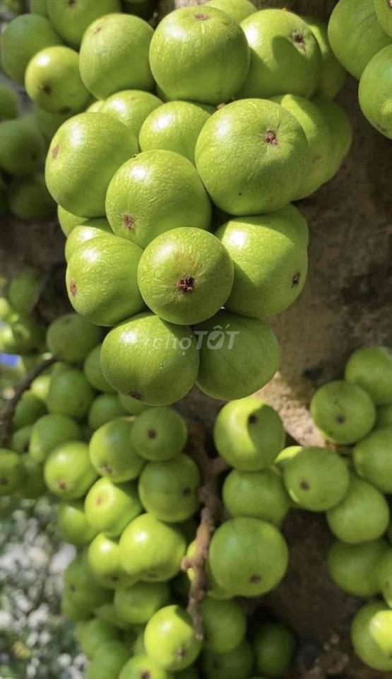 NHÀ XINH, YÊN TĨNH, SÂN XE, 1 TRỆT 1 LẦU, 2P. NGỦ ở và đi làm OK