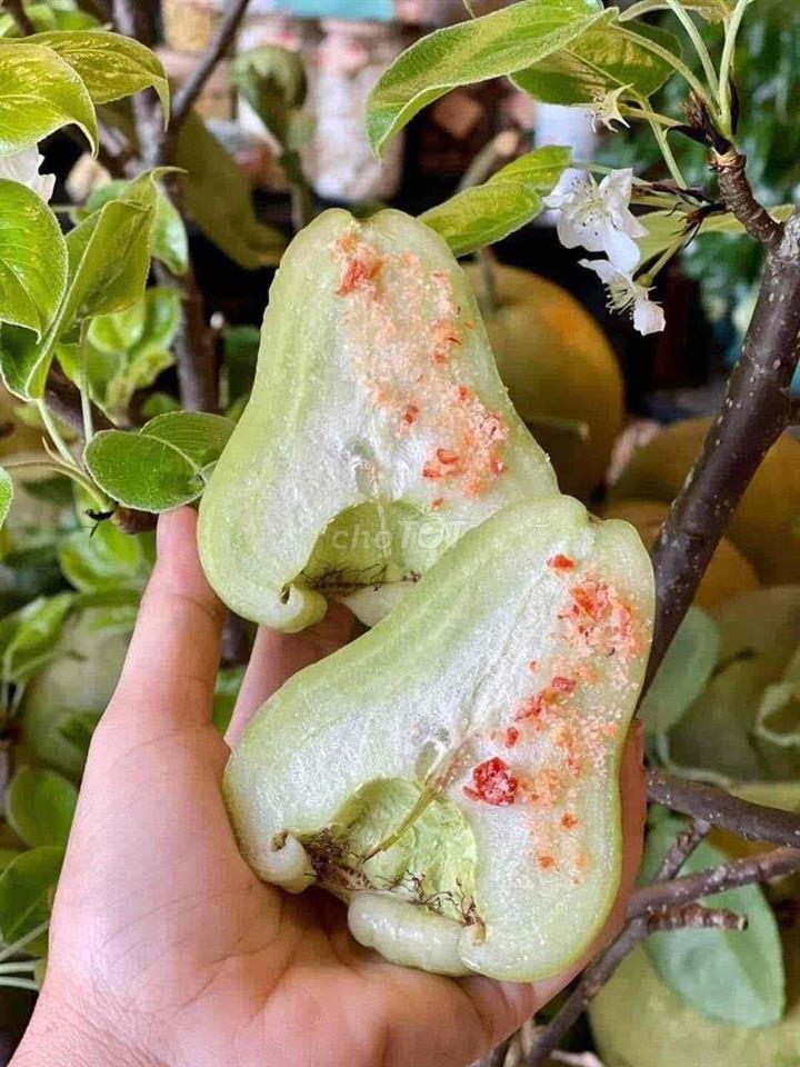 NHÀ RỘNG ĐẸP XINH, 48m2, HẺM TO THOÁNG, 1 TRỆT 1 LẦU SÂN THG CHILL🍃🍃